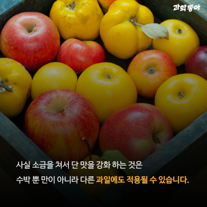 (주)동아사이언스 제공